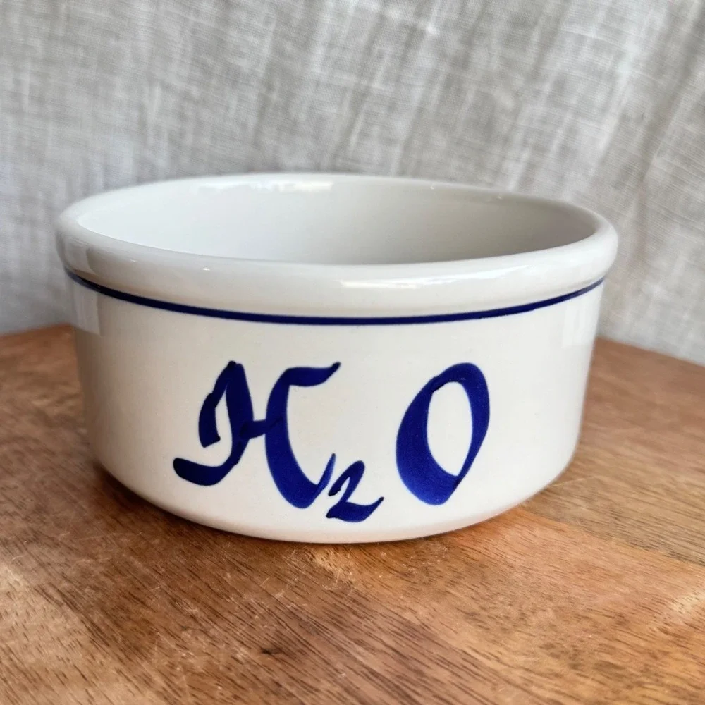 Vintage Midcentury Pet Water Bowl 5 inch Small White Blue Ceramic H2O